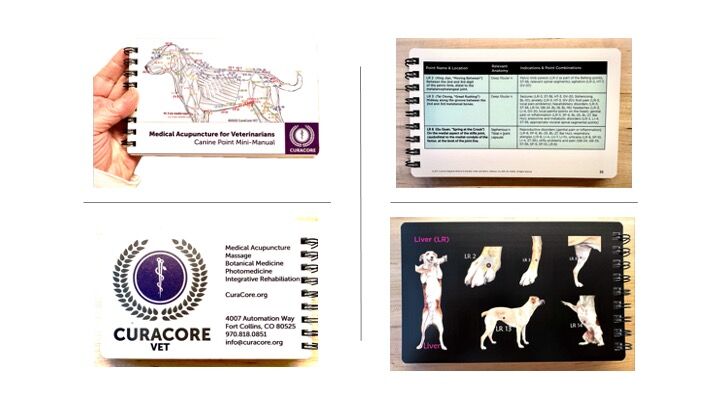 Mini Manual, Canine Acupuncture