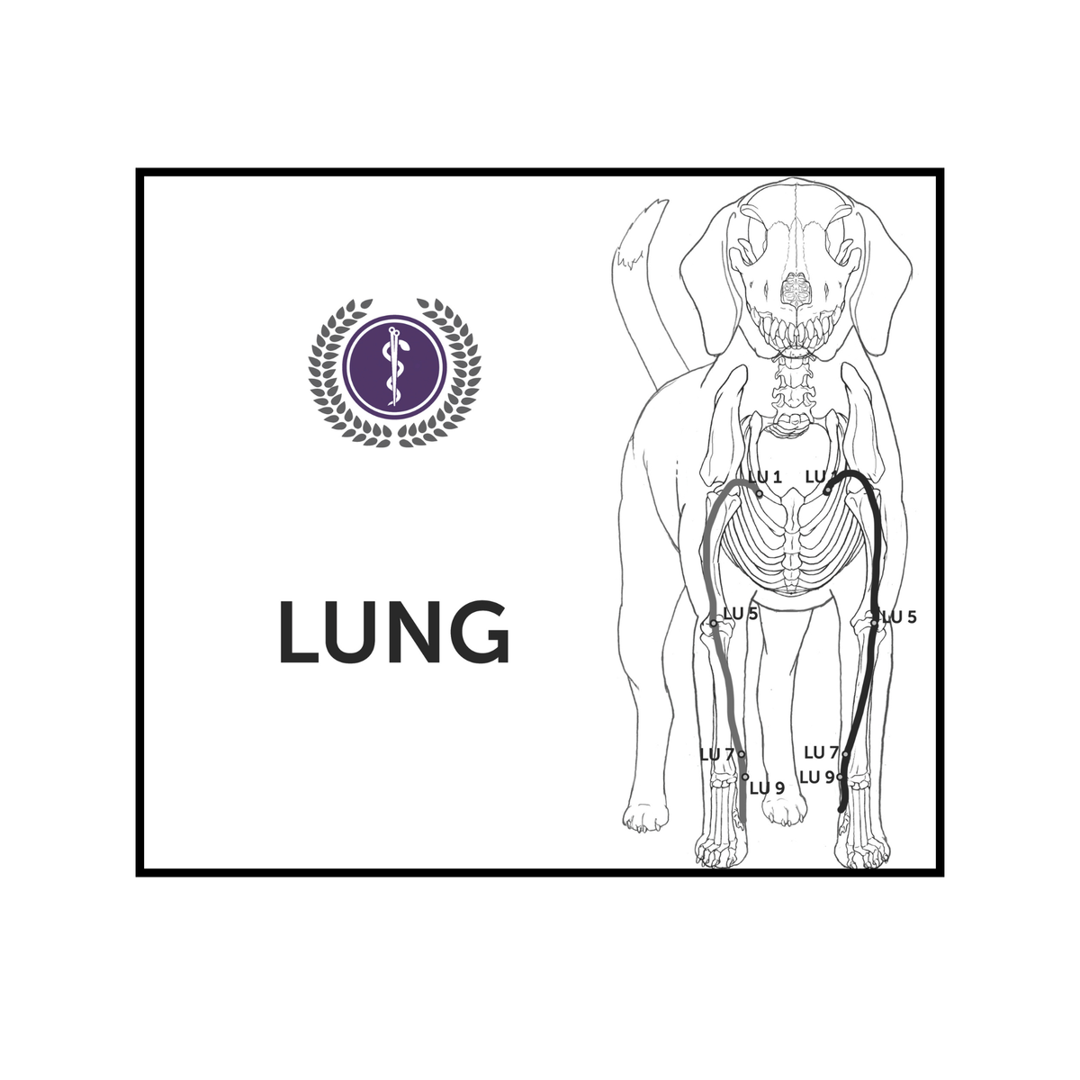 A square product card or label with a black border on a white background. It features a line drawing of a dog's anatomy showing the lungs, with labels pointing to LU1, LU2, LU3, LU4, and LU5.