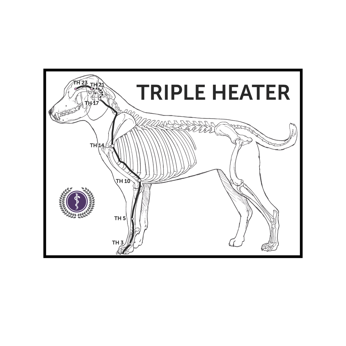 A black and white line art diagram of a dog skeleton with labeled body heat zones ('TRIPLE HEATER') and a circular purple logo seal, presented on a white background.