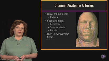 #02 Canine Points on the Large Intestine (LI) Channel