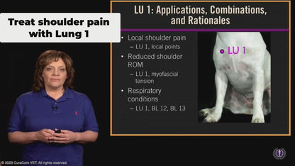 #01 Canine Points on the Lung (LU) Channel