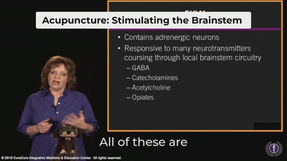 #09 Canine Points on the Pericardium (PC) Channel