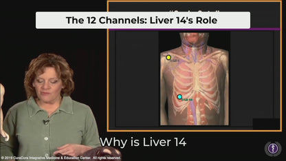 #12 Canine Points on the Liver (LR) Channel