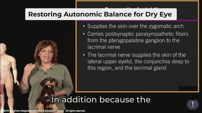 #11 Canine Points on the Gallbladder (GB) Channel