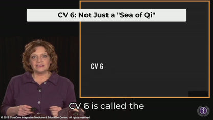 #13  Canine Points on the Conception Vessel (CV) (with Introduction to the Singular Vessels)