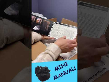 Mini Manual, Equine Acupuncture